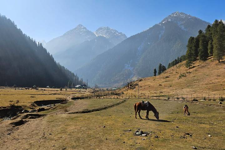 Murree Family Tour 8